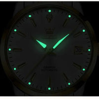 Women's Mechanical Watch, Metal, Waterproof