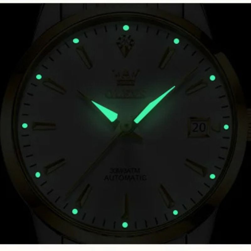 Women's Mechanical Watch, Metal, Waterproof