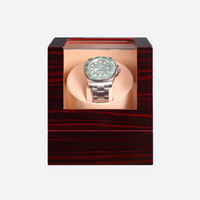 Simple Automatic Watch Winder