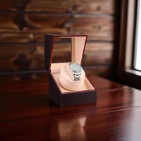 Simple Automatic Watch Winder